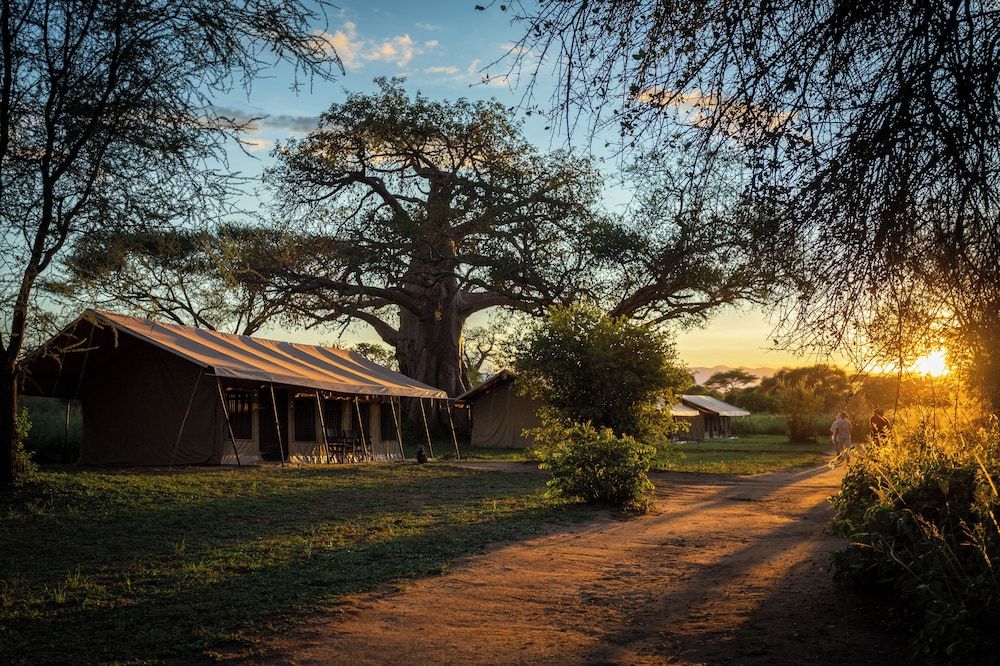 Baobab Tented Camp -1 estrellas en Kwa Kuchinia
