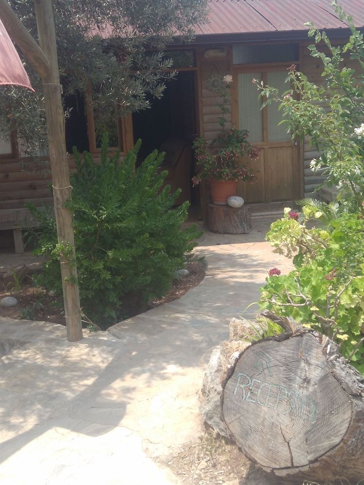 Olive Garden Kabak 2