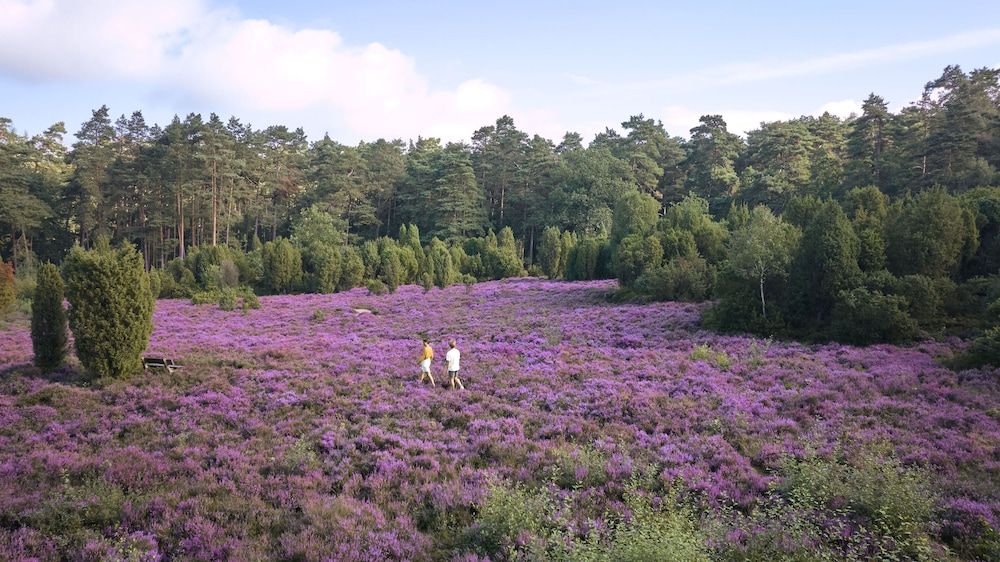 Hotel Bispinger Heide by Center Parcs 3 estrelas em Bispingen