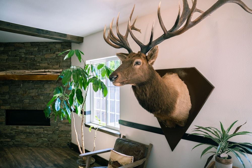 Blue Elk Inn 2