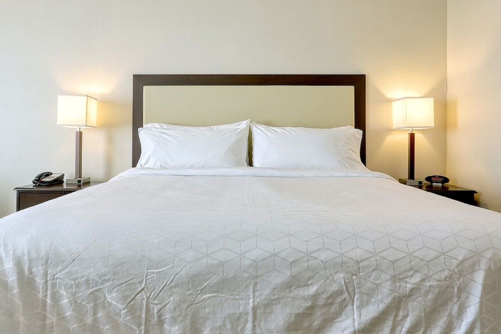 Holiday Inn Express Hotel & Suites Batavia - Darien Lake by IHG 3