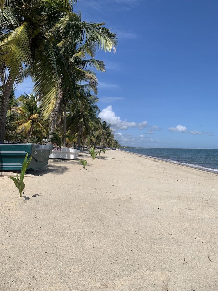 All Seasons Belize -1 estrellas en Hopkins