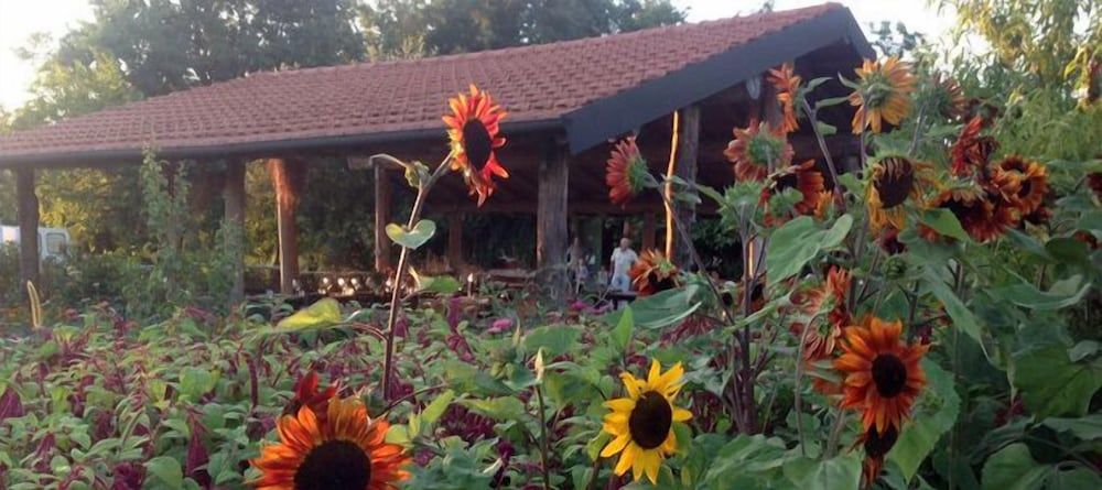 Agriturismo Cascina degli Ulivi -1 estrelas em Novi Ligure