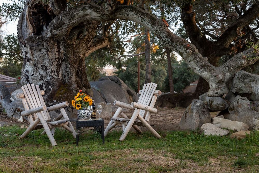 Apple Tree Inn 2
