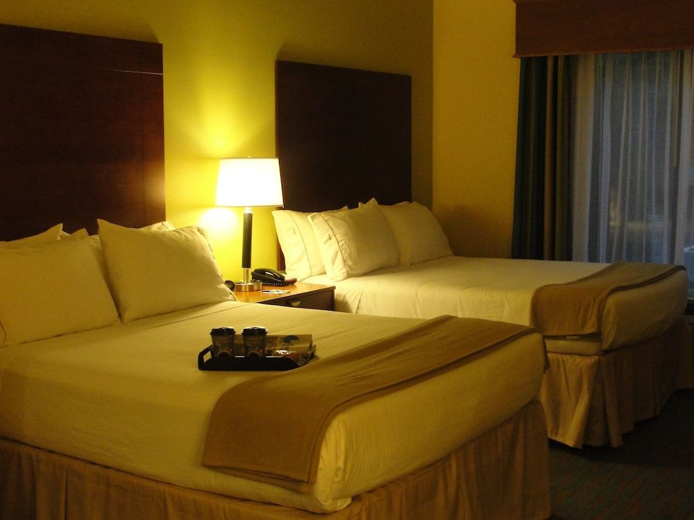 Holiday Inn Express Hotel & Suites Atlanta East - Lithonia by IHG 3