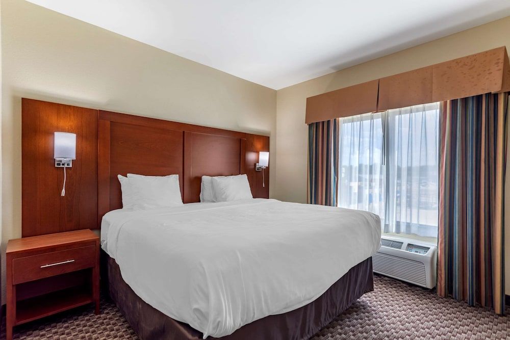 Comfort Inn & Suites Carbondale University Area 3