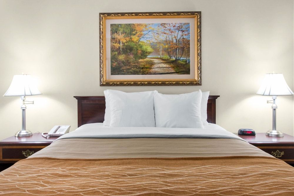 Comfort Inn Plainwell 3
