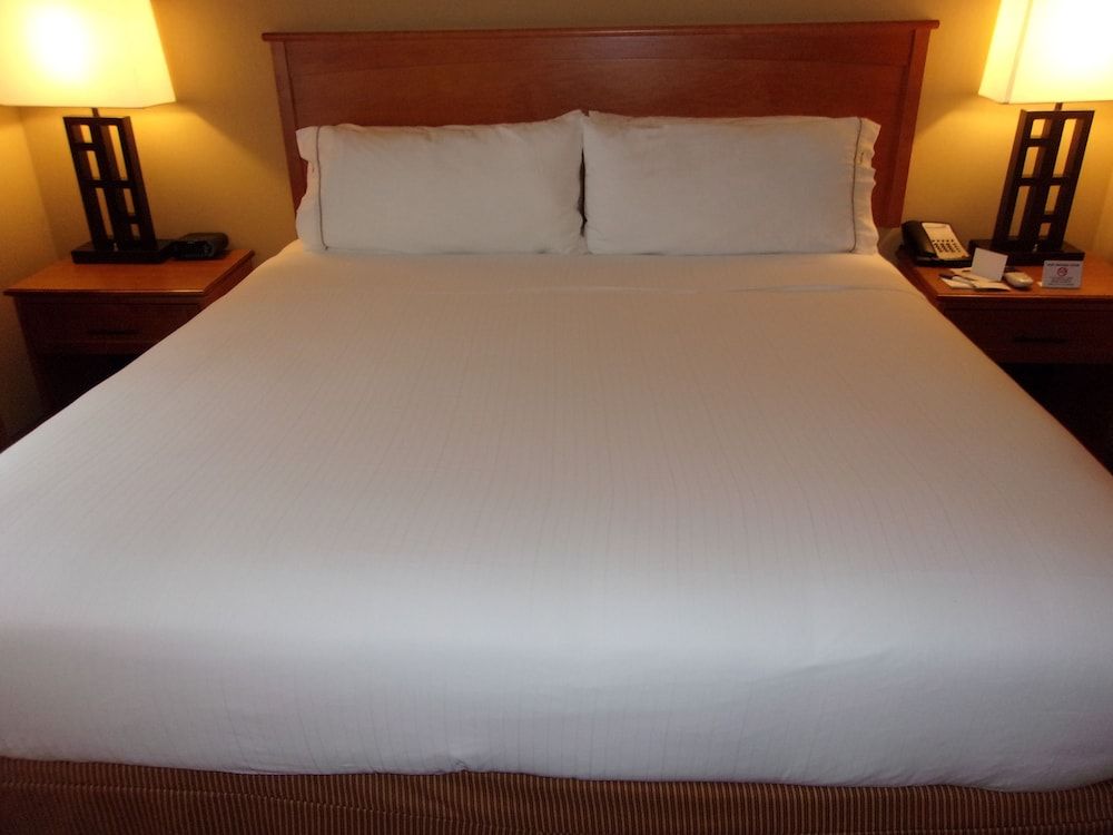 Holiday Inn Express & Suites Chicago West-Roselle by IHG 3
