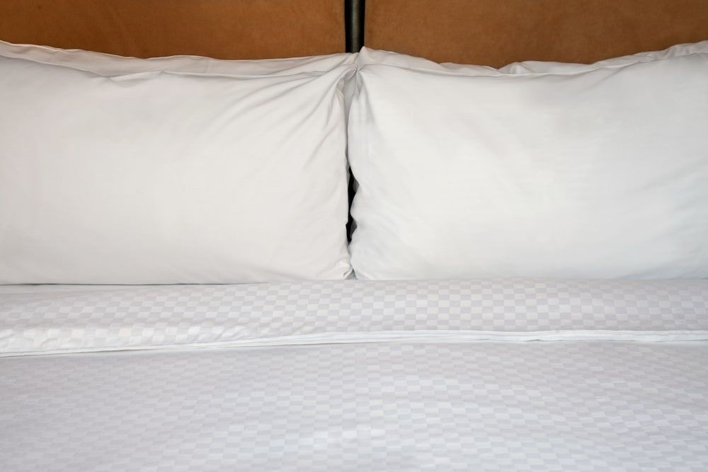 Four Points by Sheraton Buffalo Grove 3