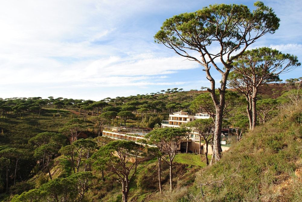 Pineland Hotel and Health Resort -1 estrellas en Ḩammānā