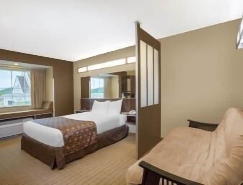 Microtel Inn & Suites by Wyndham Marietta 3