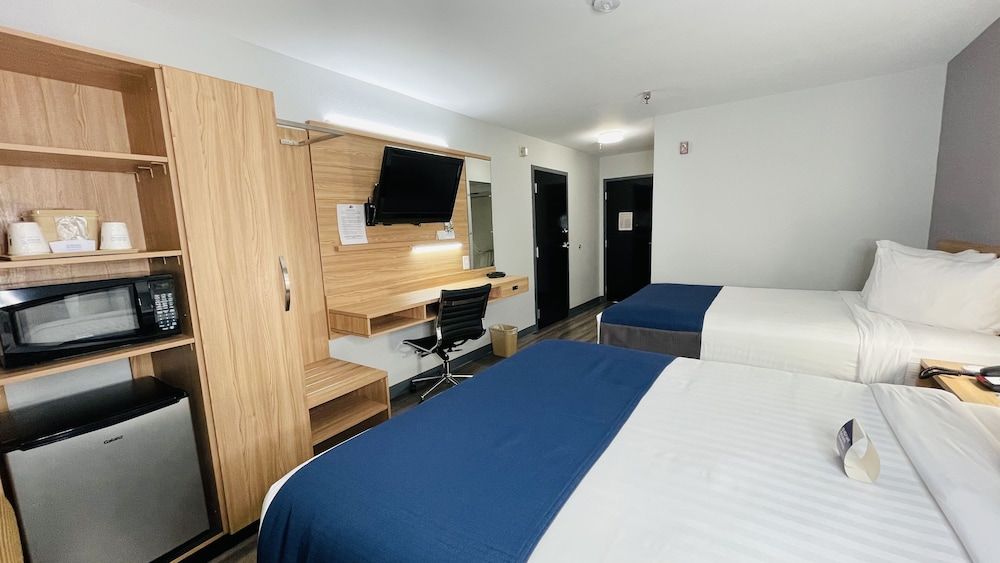 Microtel Inn & Suites by Wyndham Tuscaloosa East 3
