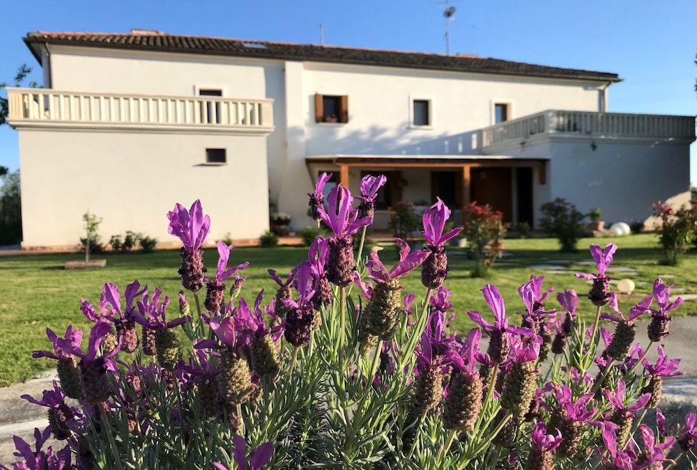 B&B Tenuta della Duchessa 2