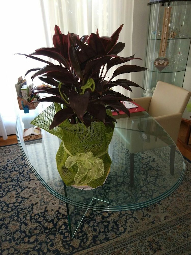 Marinella B 3