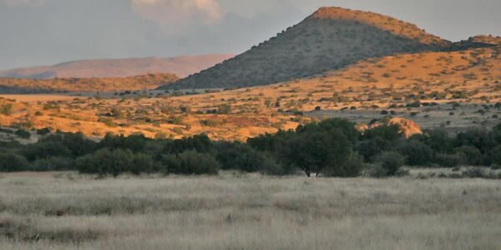 Otterskloof Private Game Reserve 3