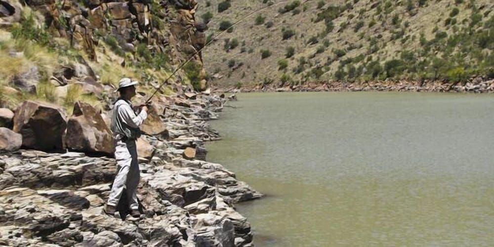 Otterskloof Private Game Reserve 2