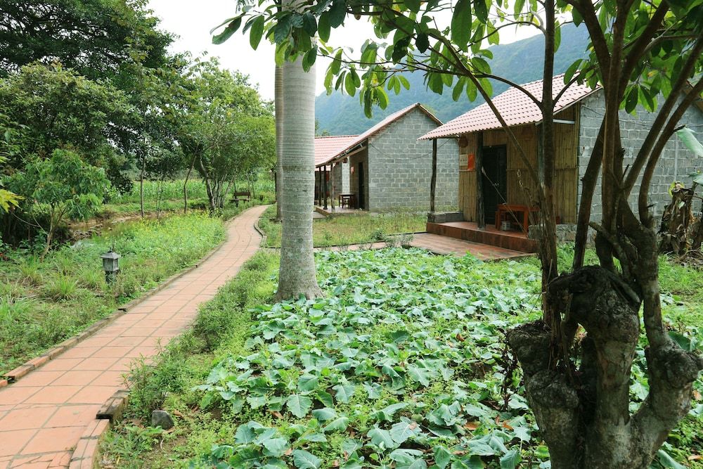 Long Phuong Homestay 2