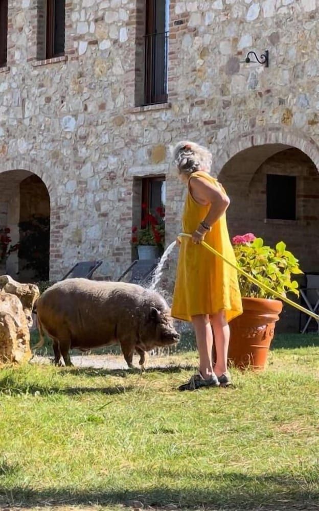 Agriturismo SOLE -1 estrelas em Trequanda