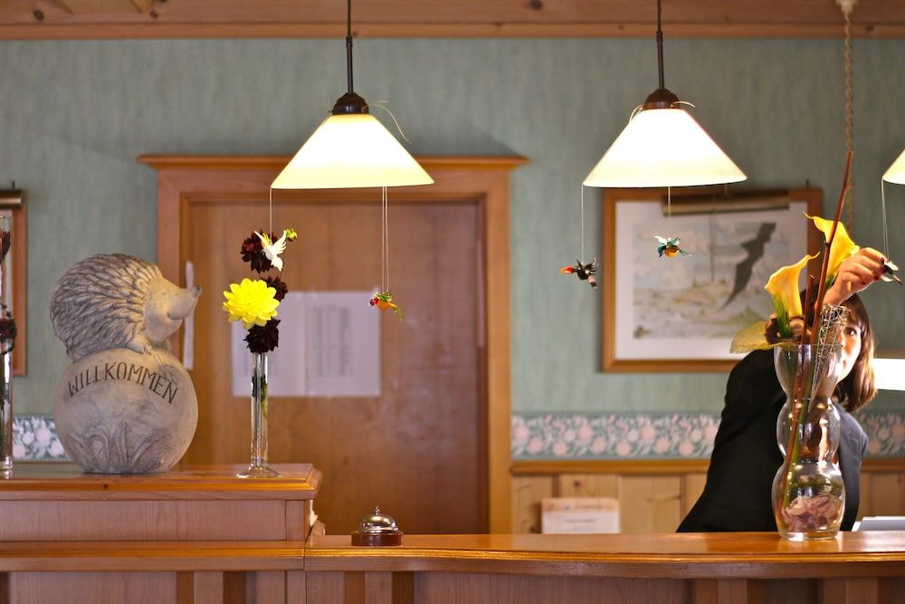 Hotel Zur Igelstadt 2