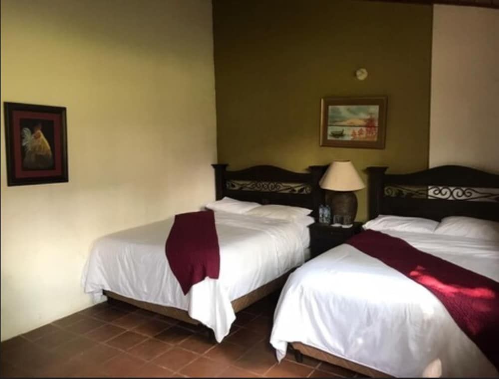 Hotel Los Olivos 2