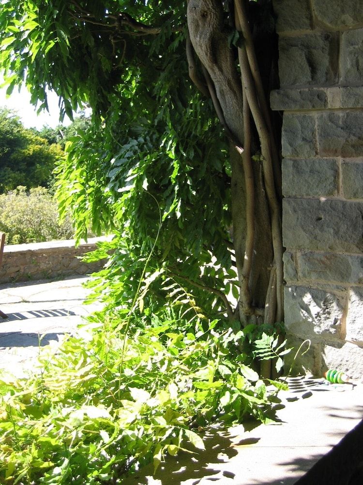 Bossington Hall Bed and Breakfast 3