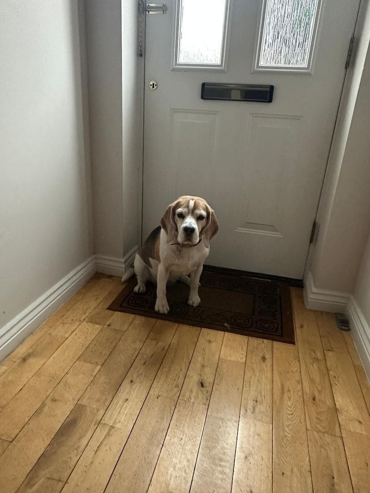 Dog Friendly - 4 Bed House - Sleeps 10 - Pool Table 2
