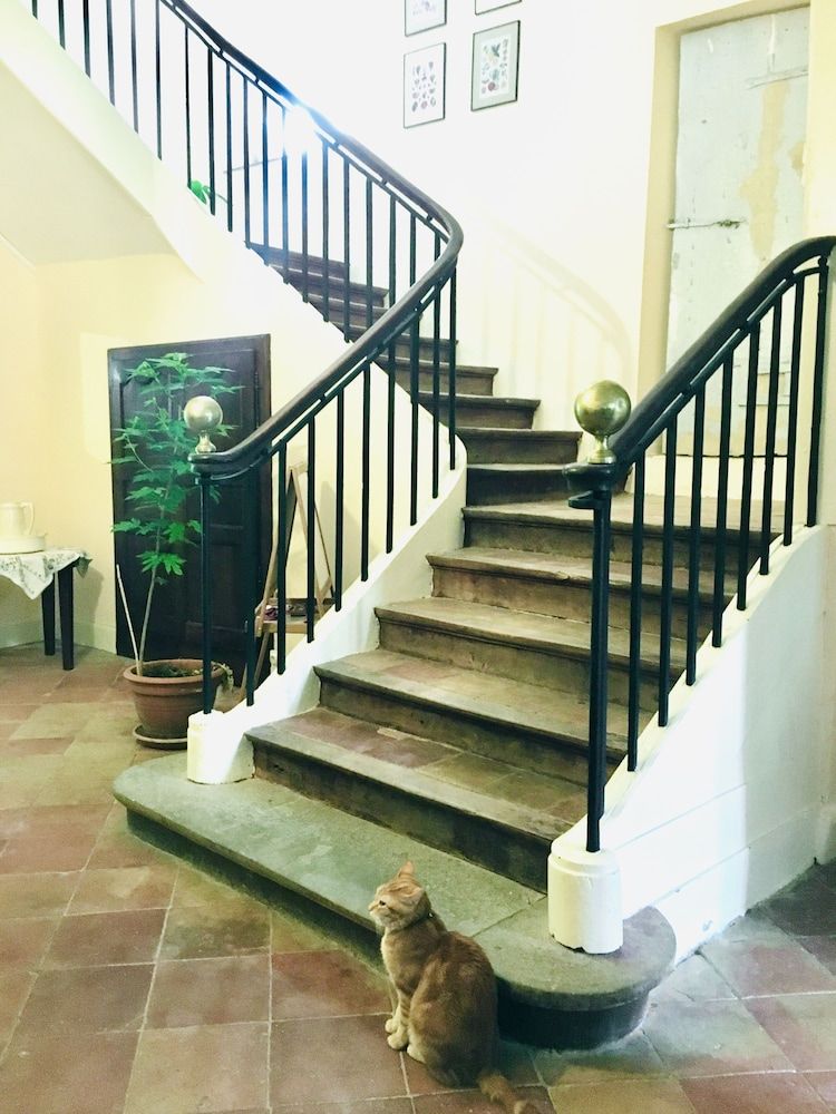 Le Domaine de Villespy 2