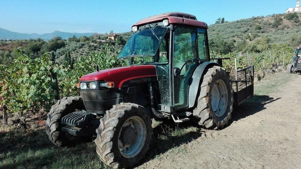 Fattoria di Fubbiano -1 estrelas em Collodi