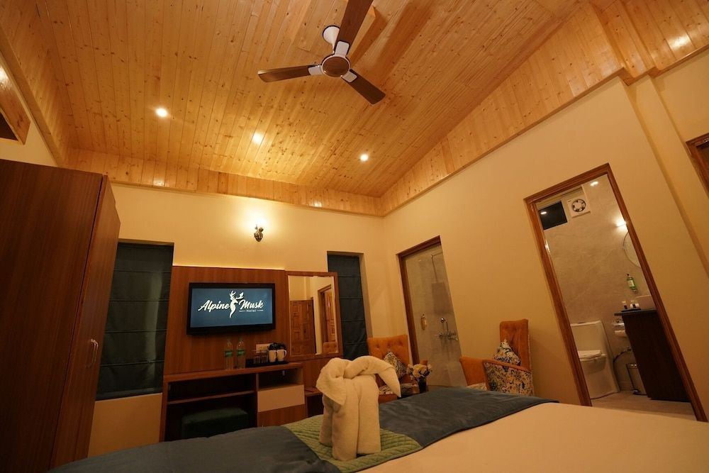 HOTEL ALPINE MUSK 3