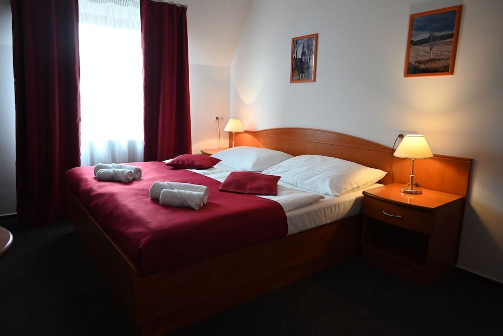 Wellness Hotel ANNA Nejdek 2