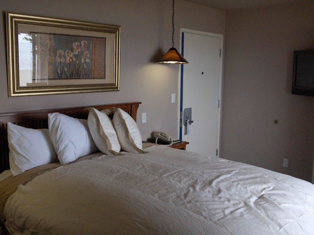 Surf Inn 2
