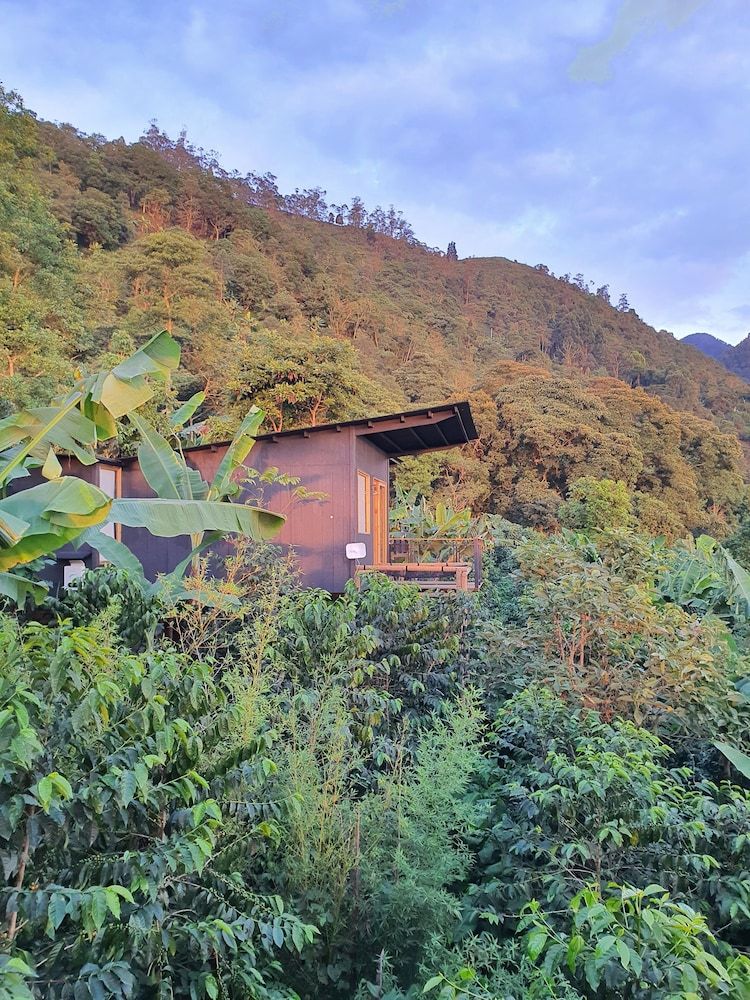 Hotel La Palma y El Tucan - Coffee & Nature 3