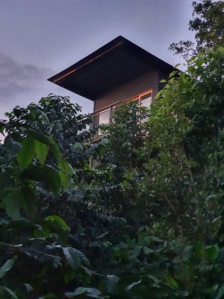 Hotel La Palma y El Tucan - Coffee & Nature 2