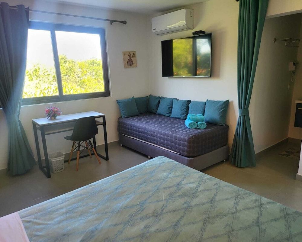 Oasis-Dream Holidays - La Petite France 3