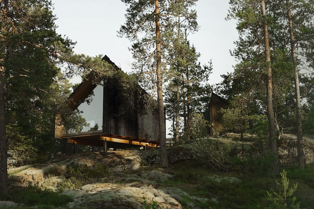 Hilltop Forest 2