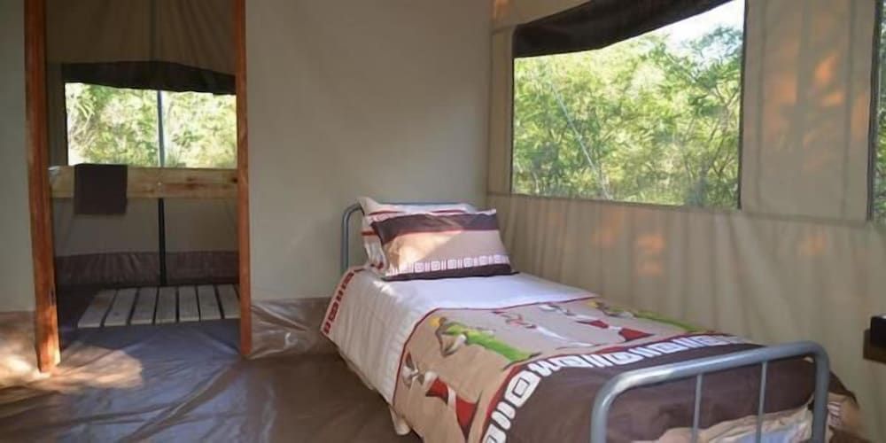 Wild Olive Tree Camp 2