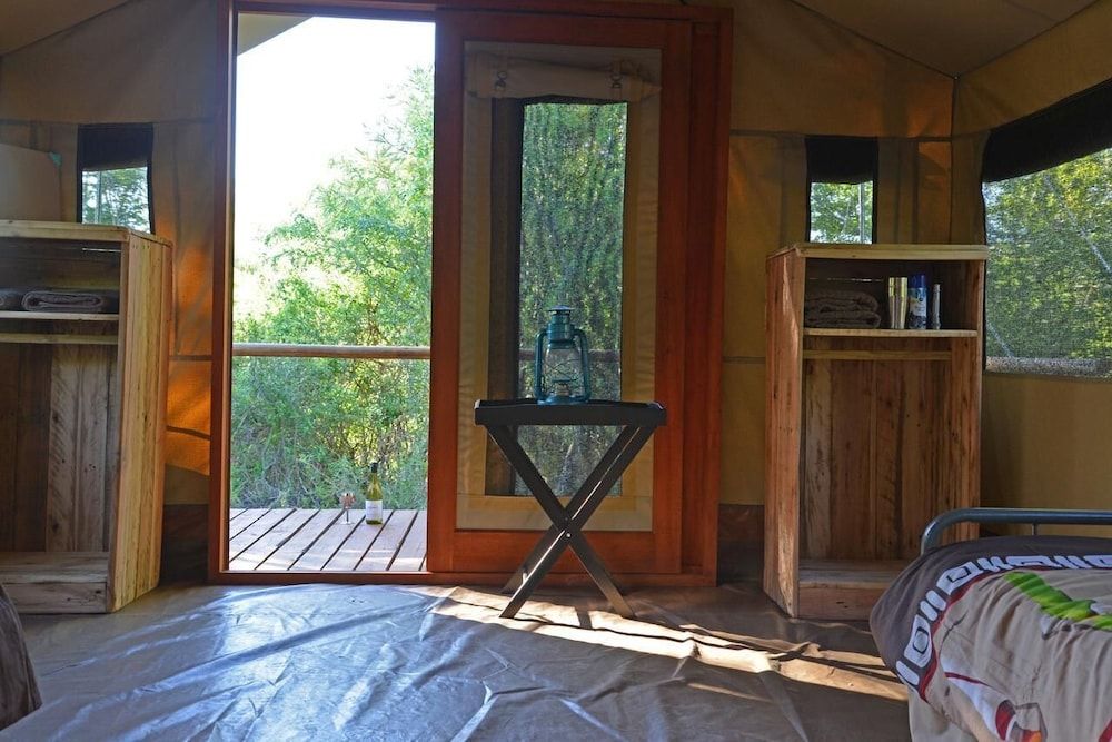 Wild Olive Tree Camp 3