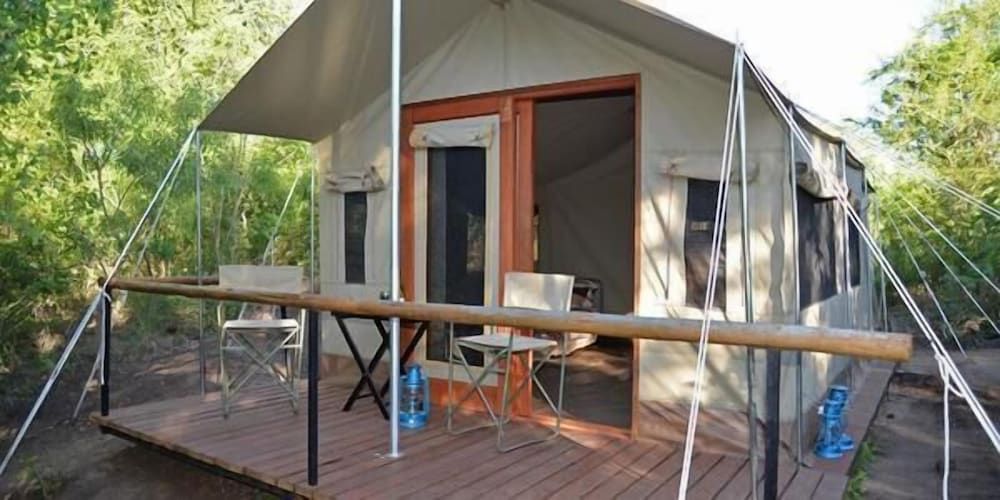 Wild Olive Tree Camp -1 estrellas en Manyeleti Game Reserve