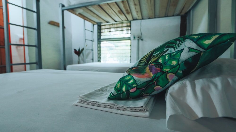 Makenke Hostel By Los Colores Ecoparque 2