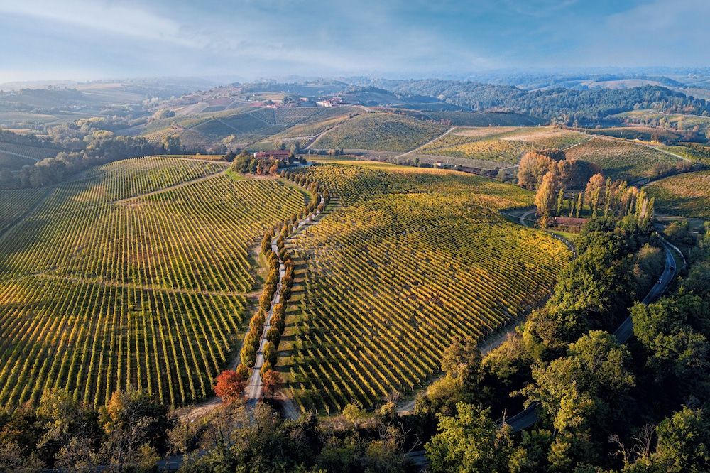 La Tenuta La Meirana -1 estrelas em Gavi