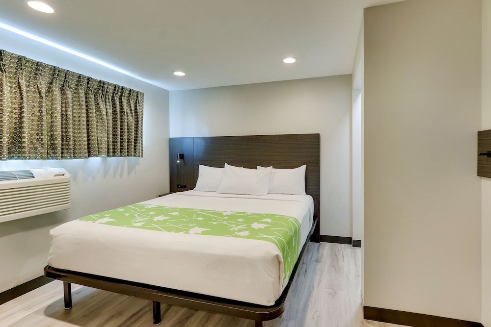 The Shamrock 3