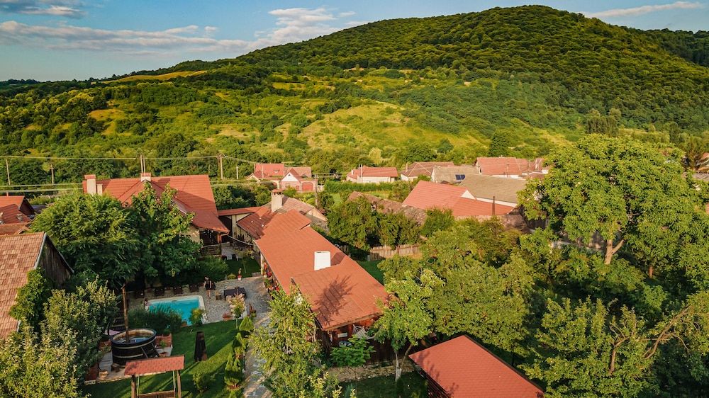 Casa Dives, Transylvania 3 estrellas en Pianu de Sus