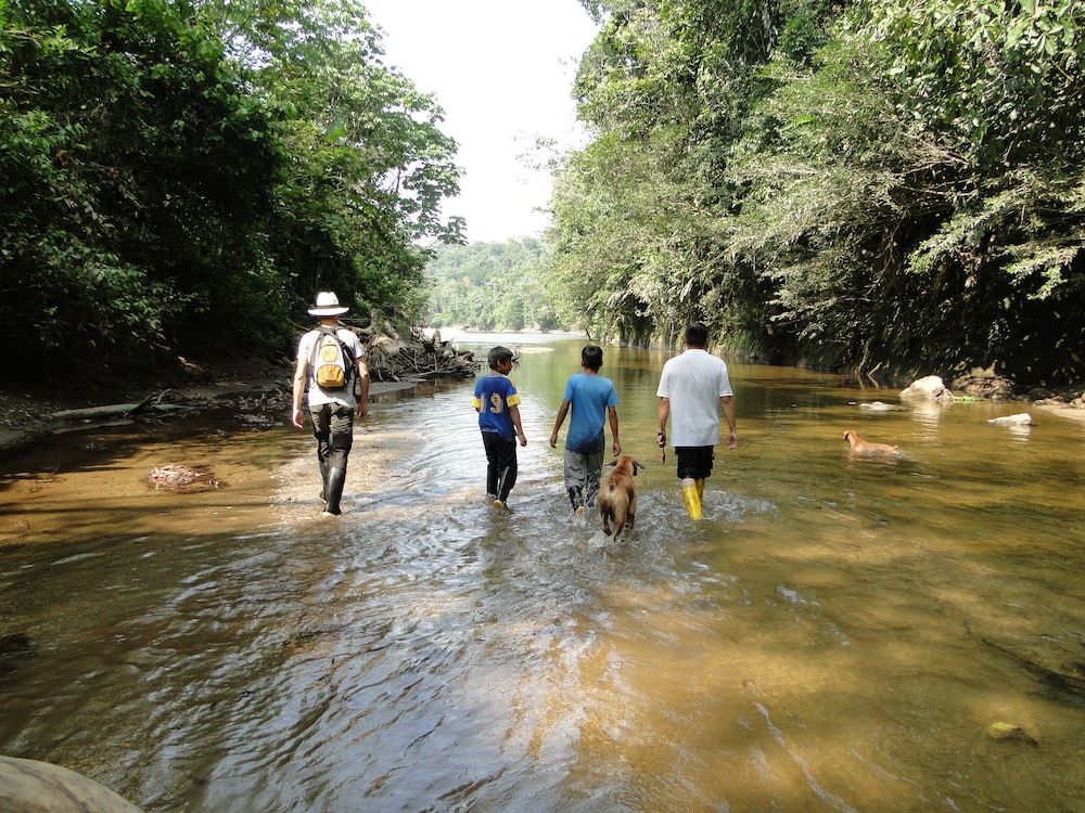 Grand Selva Lodge & Tours -1 estrellas en Tena