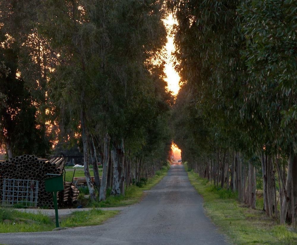 Agriturismo Magnaboschi 2