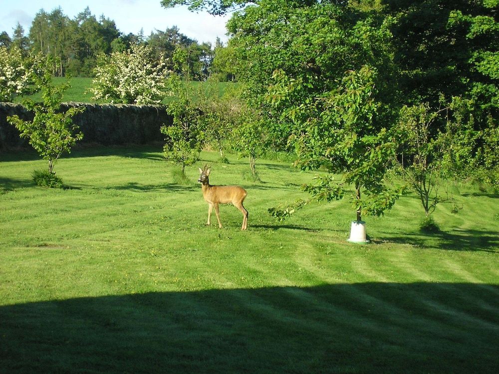 Balhousie Farm 3 estrellas en Kirkton of Largo