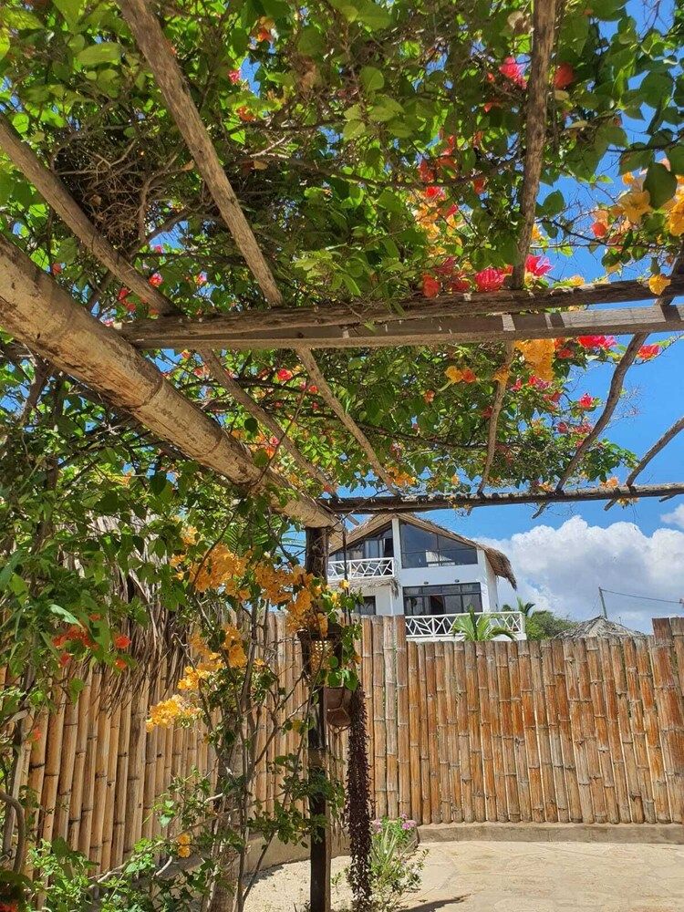 Oasis de Vichayito 2