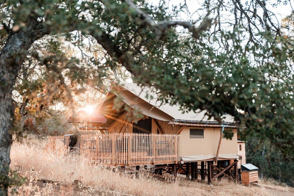 Huttopia Wine Country-Northern California 2