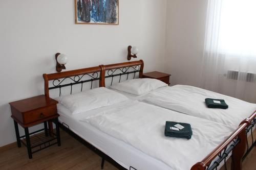Hotel Černý kůň 2
