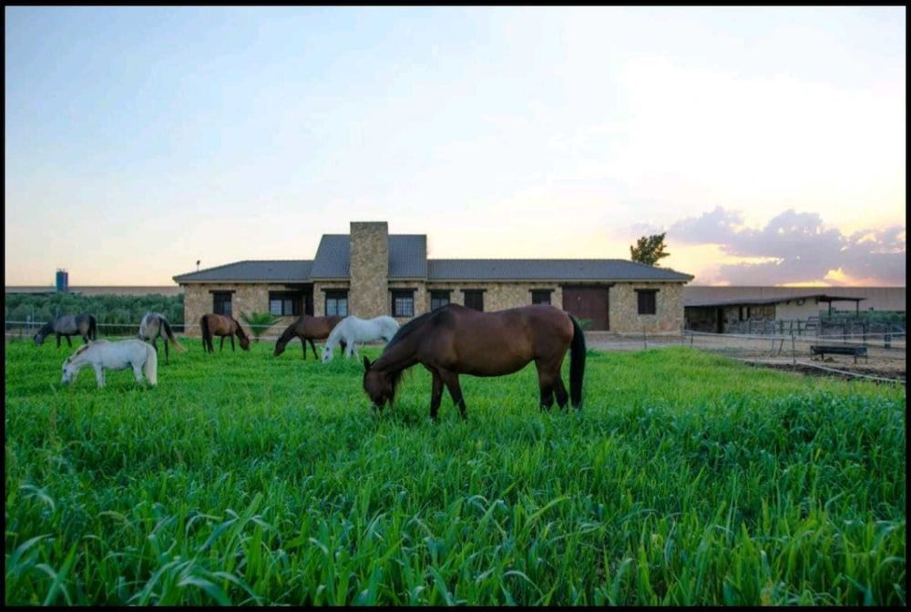 Casa Rural Ecuestre 2 estrellas en Fuente Palmera
