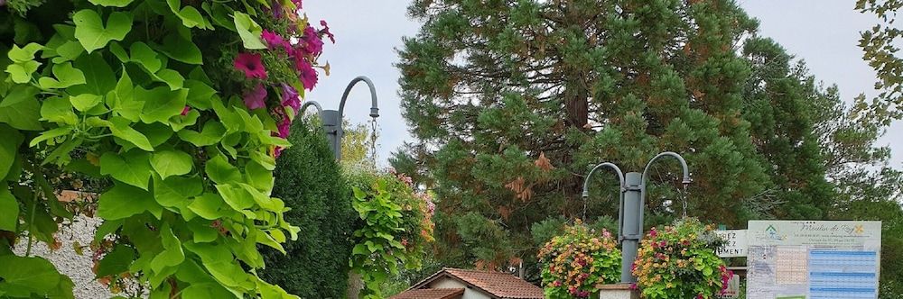 Camping Moulin du Roy 3 estrellas en Revel